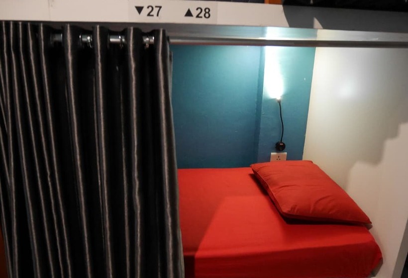 Sleepy Raccoon Hostel