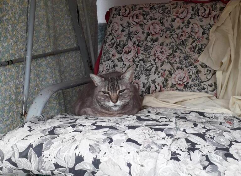 B&b La Casa Del Daino