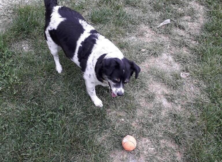 B&b La Casa Del Daino