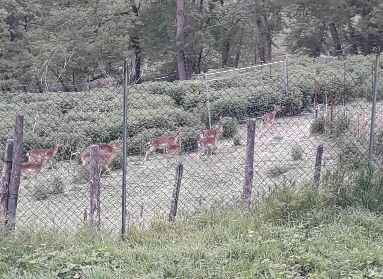 B&b La Casa Del Daino