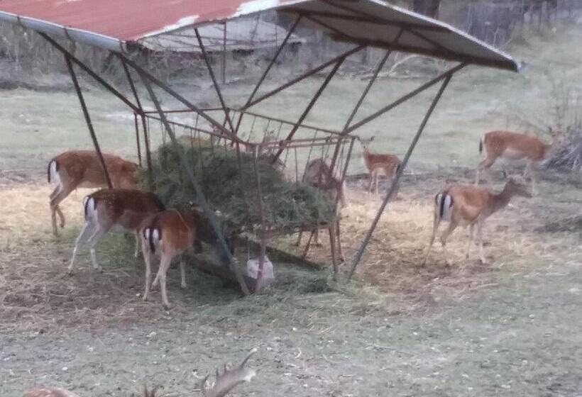 B&b La Casa Del Daino