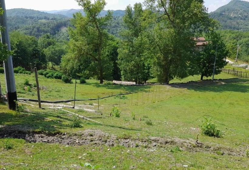 B&b La Casa Del Daino