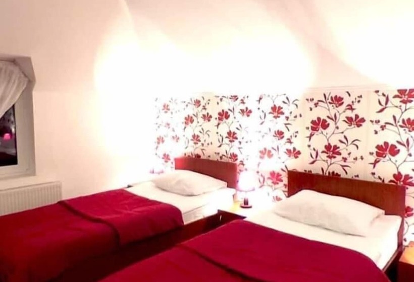 Пансион Casa De Vis Pucioasa