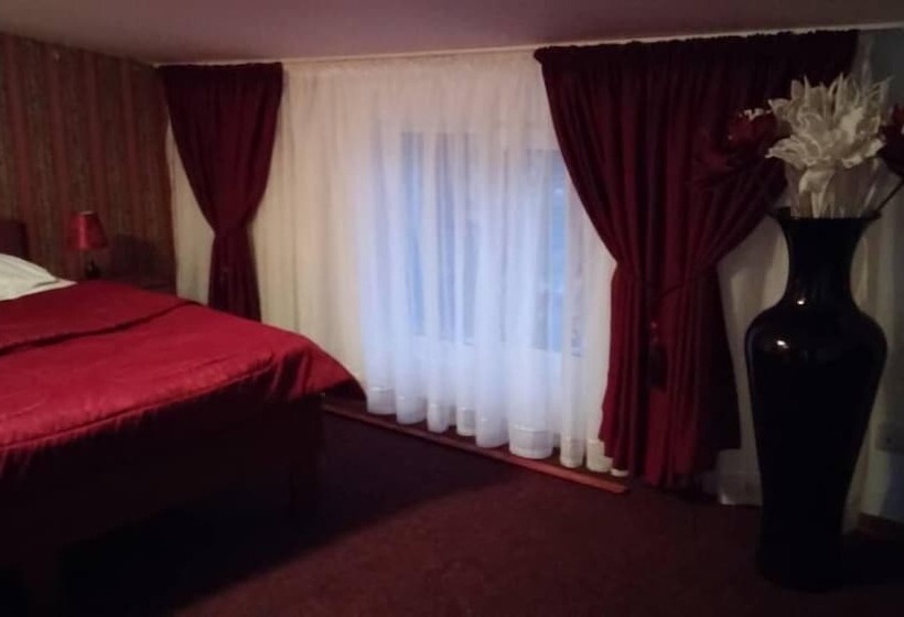 Пансион Casa De Vis Pucioasa