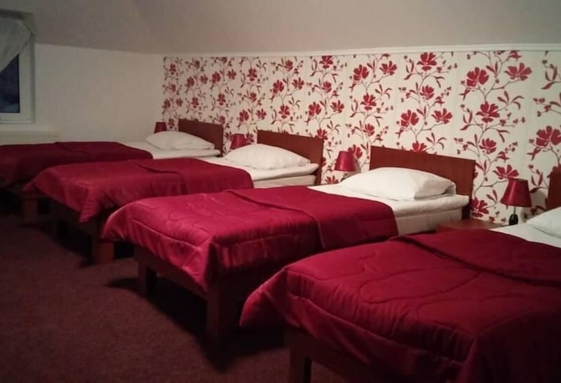 Пансион Casa De Vis Pucioasa