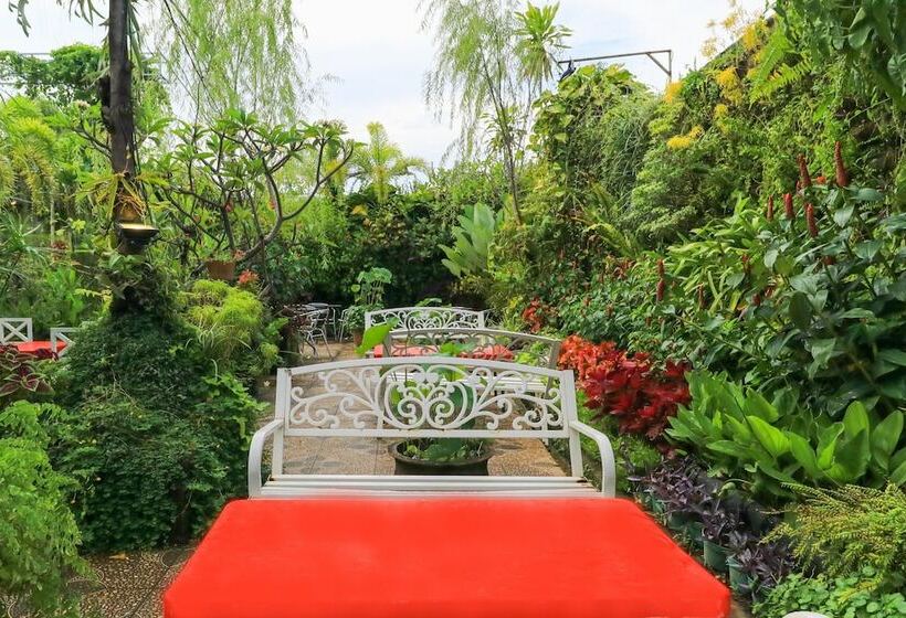 פנסיון Labuana Homestay & Cafe Garden