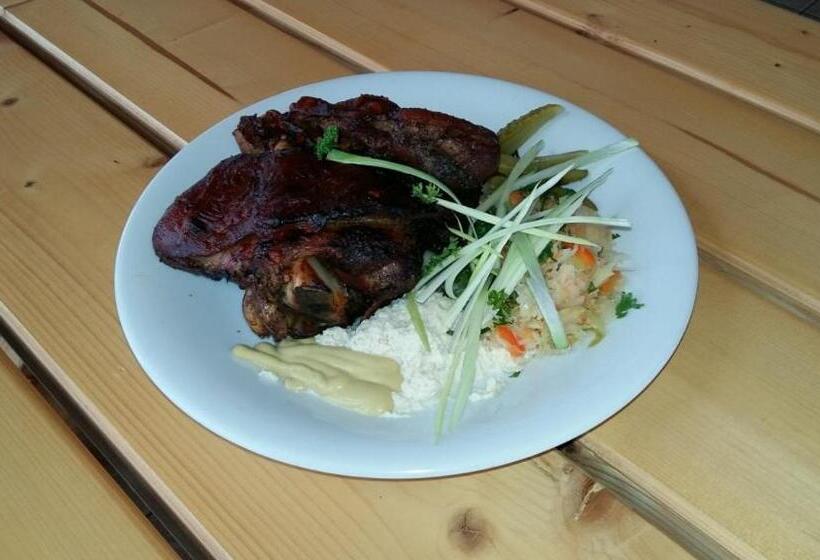 Пансион Penzión Racibor