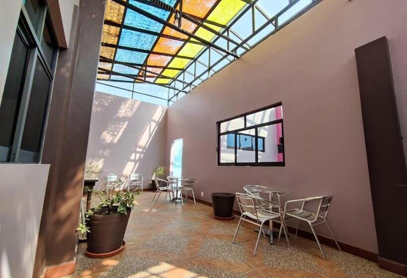 호텔 Capital O Df Inn