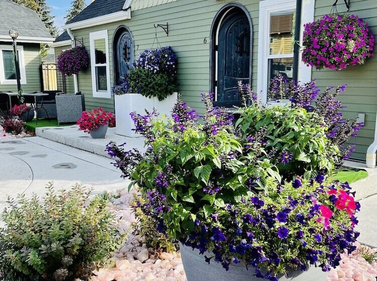 ホテル Eo Bungalows, Black Hills