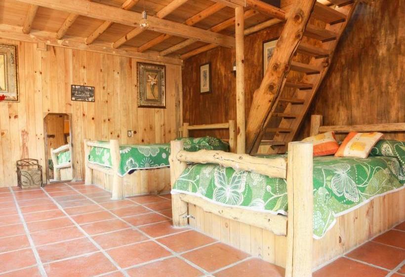 פנסיון Cabañas La Roca