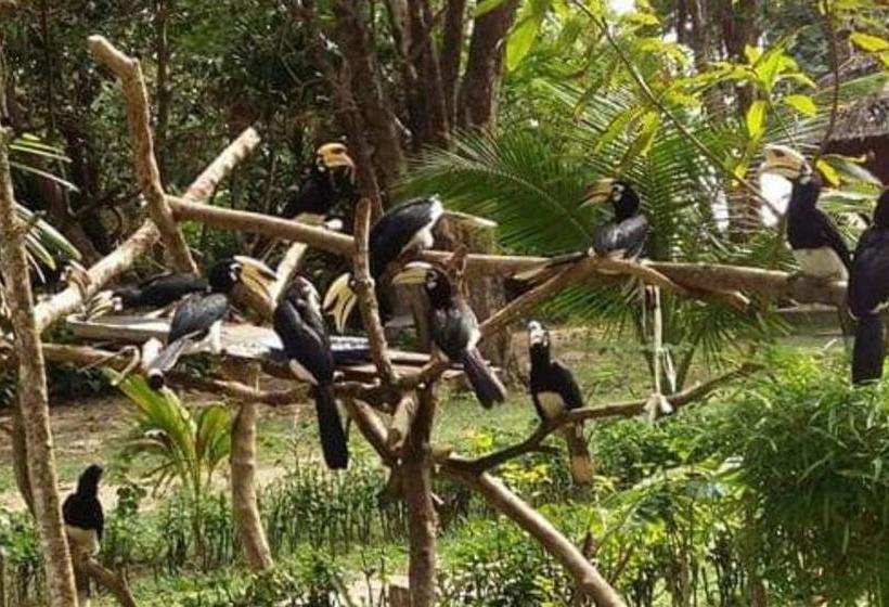 فندق صغير Banana Resort