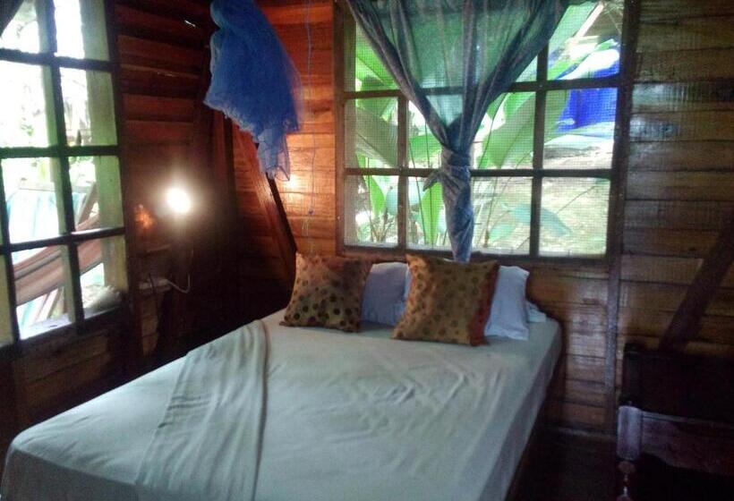 호스텔 Beverly's Hill Guest House