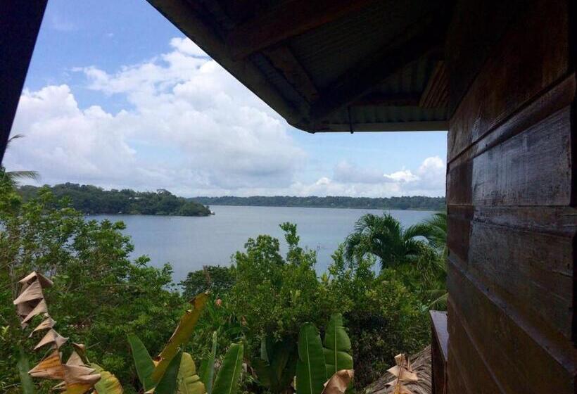 호스텔 Beverly's Hill Guest House