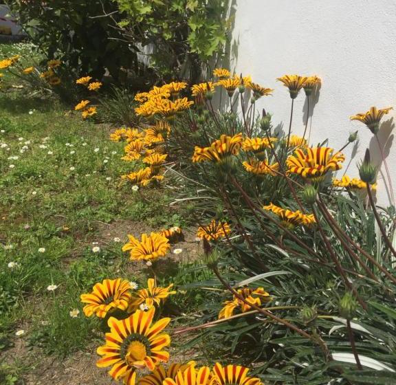 ベッドアンドブレックファースト Maison La Fleur De Sel