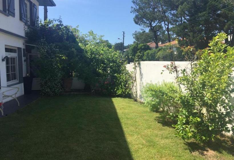 ベッドアンドブレックファースト Maison La Fleur De Sel