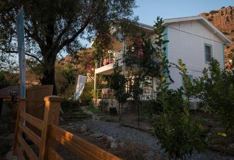 فندق Valentina Boutique