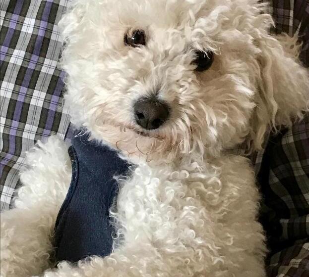 مبيت وإفطار Fontaine Des Magnarelles