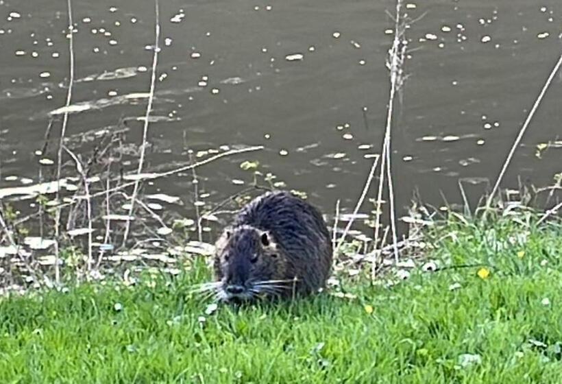 Отель Ferienpension Bei Stenze
