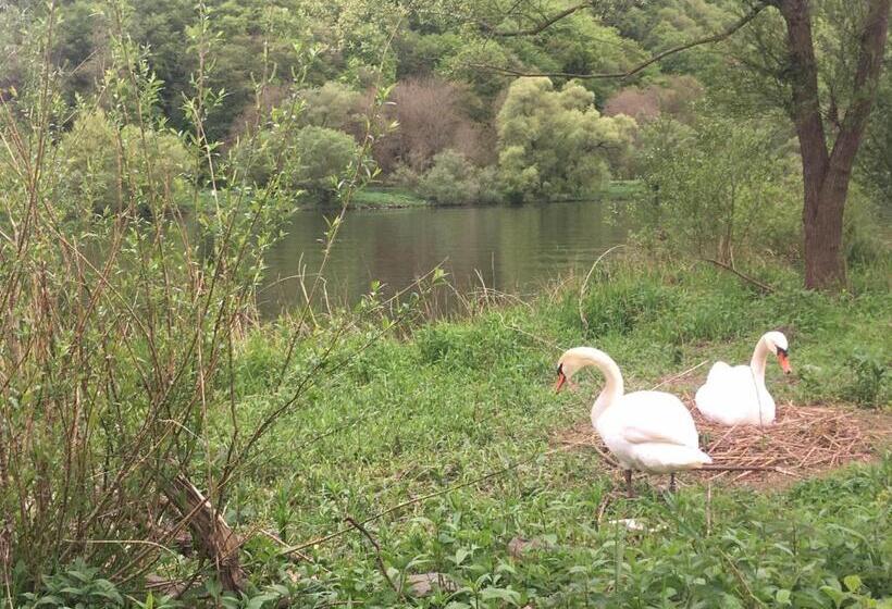 Отель Ferienpension Bei Stenze