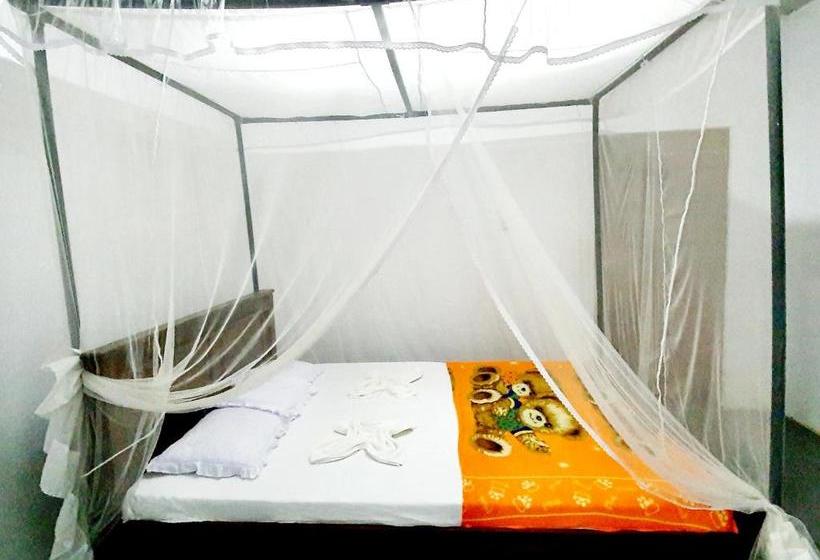 פנסיון Surfing Waves Madiha