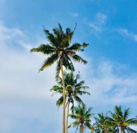 פנסיון Surfing Waves Madiha