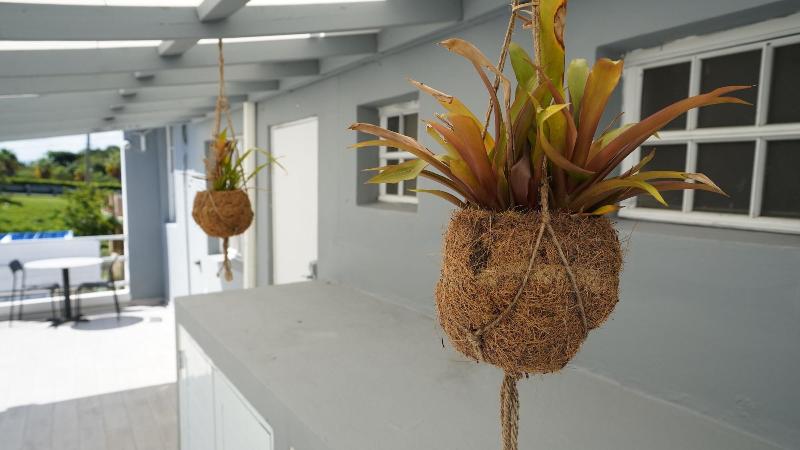 펜션 The Pelican Poshtel