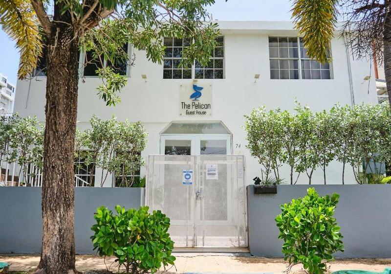 펜션 The Pelican Poshtel