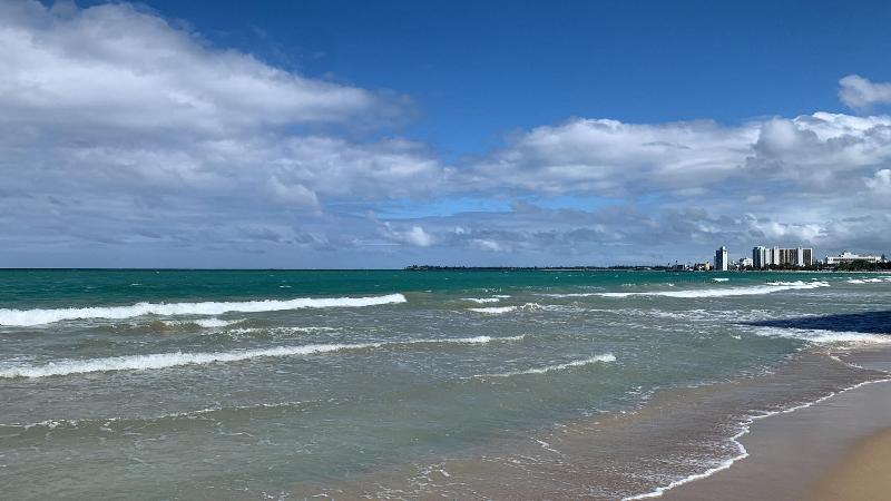 펜션 The Pelican Poshtel