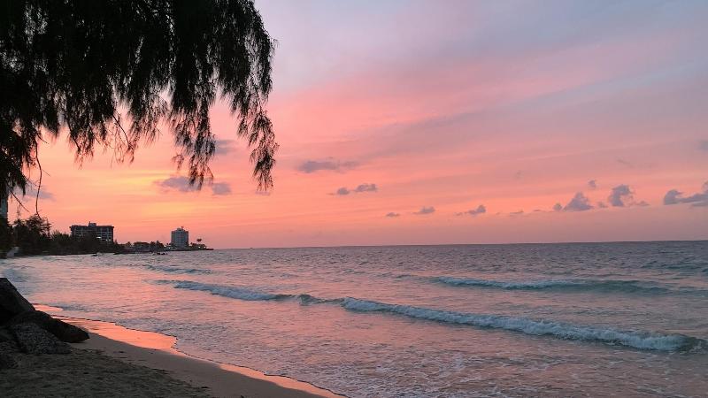 펜션 The Pelican Poshtel