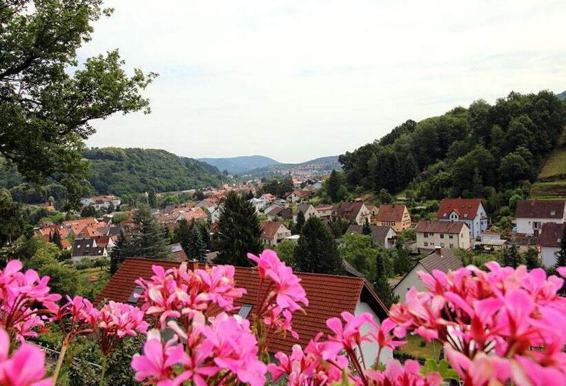 مبيت وإفطار Pension Bergterrasse