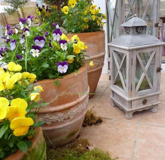 צימר Pension Bergterrasse