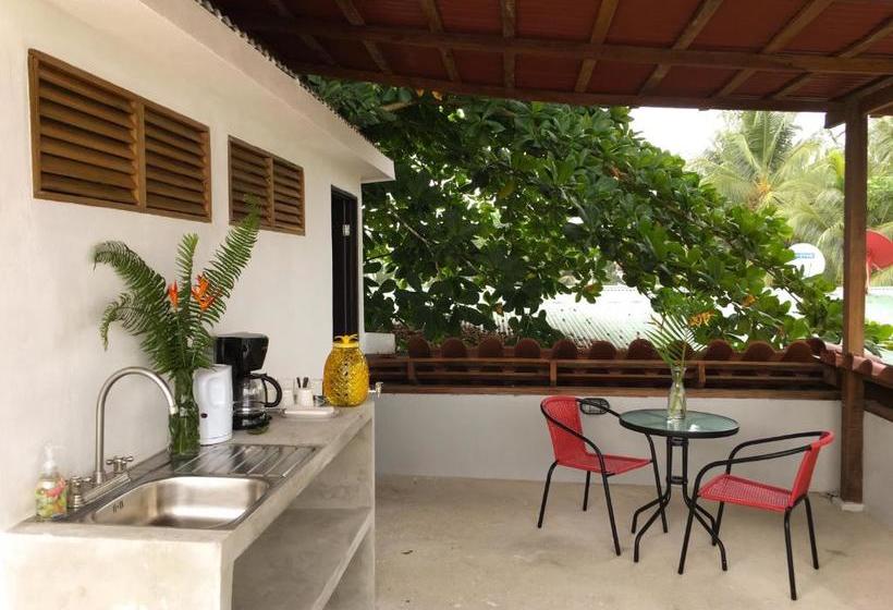 مبيت وإفطار Tortuguero Casa Pelican