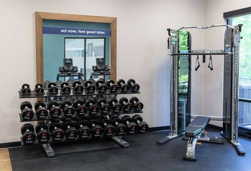 فندق Hampton Inn Black Mountain