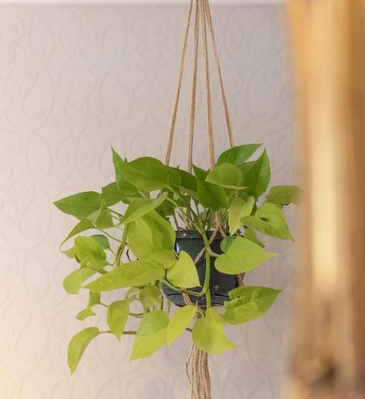 Отель House Arundel