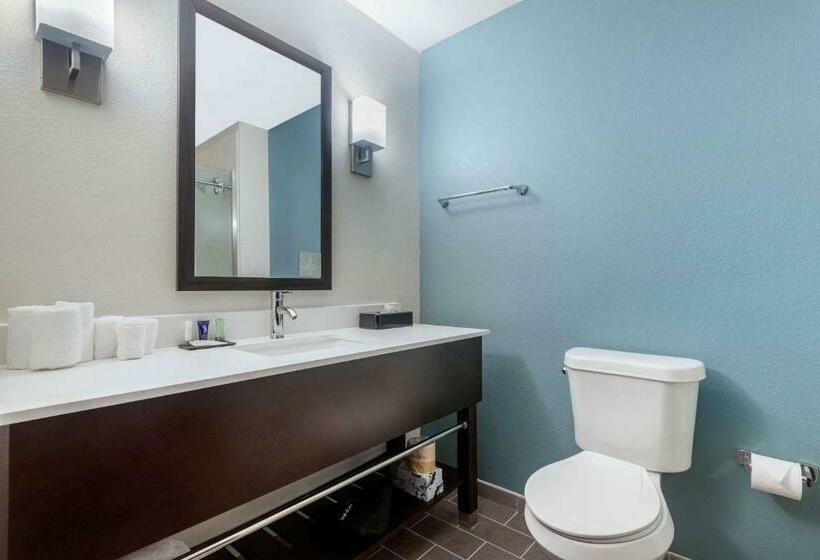 Отель Sleep Inn & Suites Bricktown   Near Medical Center