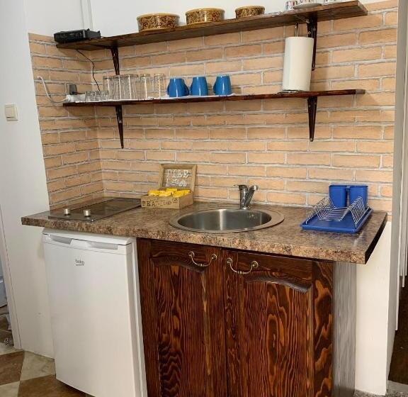 پانسیون Viktor Rooms