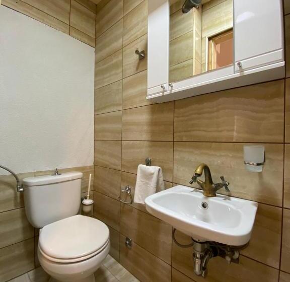 پانسیون Viktor Rooms