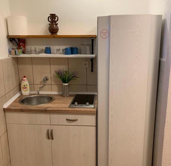 پانسیون Viktor Rooms