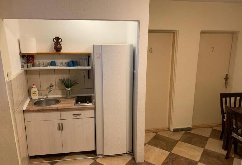 پانسیون Viktor Rooms