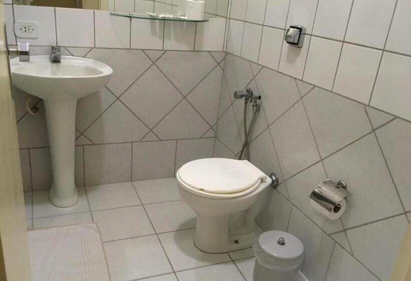 Отель Apucarana Palace