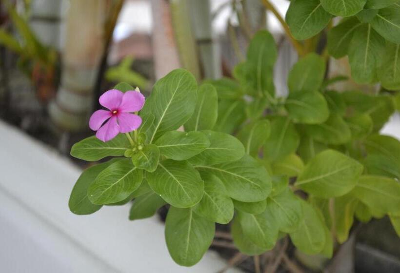 酒店 Mirador De San Jorge