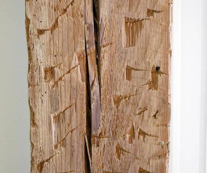 پانسیون Art Burgos