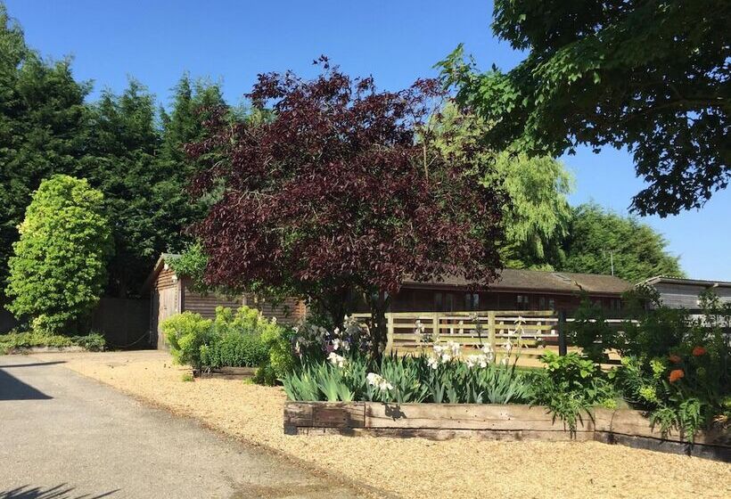 Bed and Breakfast Linford Stable