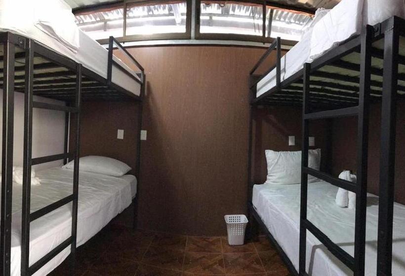 צימר The Jungle Container