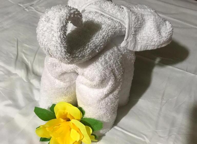 צימר The Jungle Container