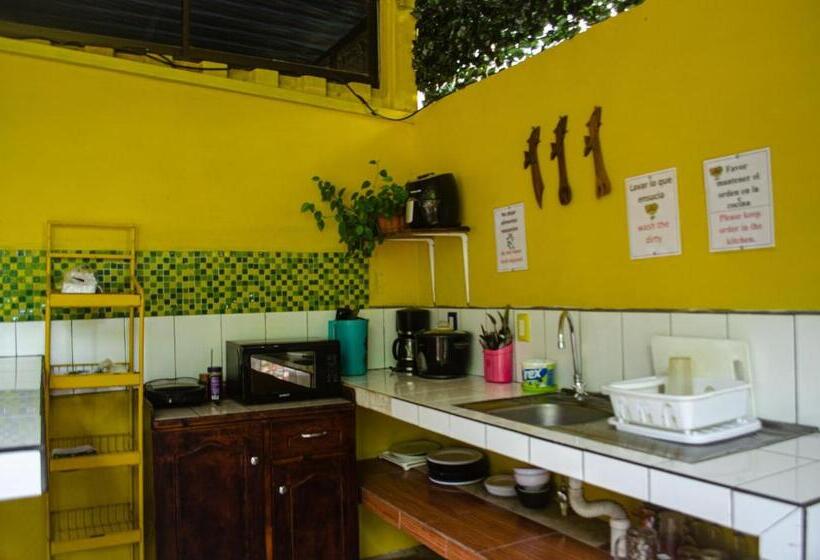 צימר The Jungle Container