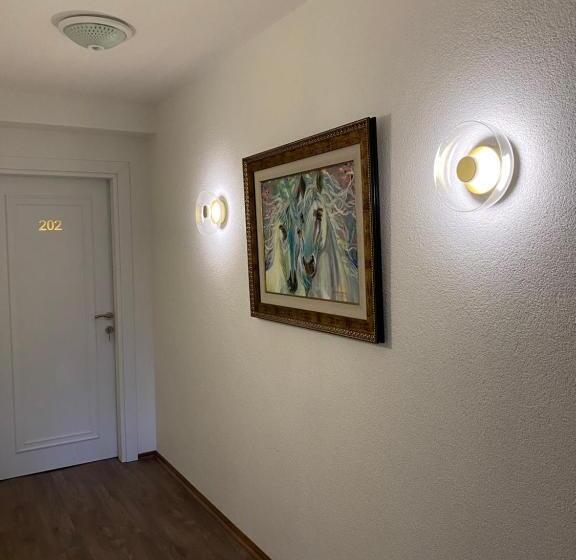 هتل Neda Galichnik