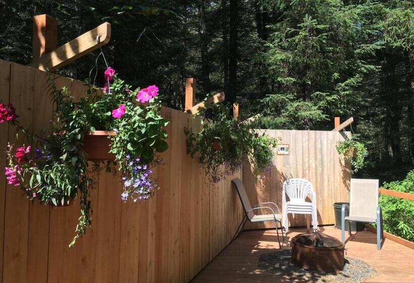 بنسيون Angels Rest On Resurrection Bay Llc