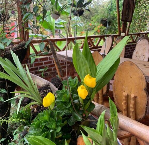 بنسيون Cabaña Los Nogales