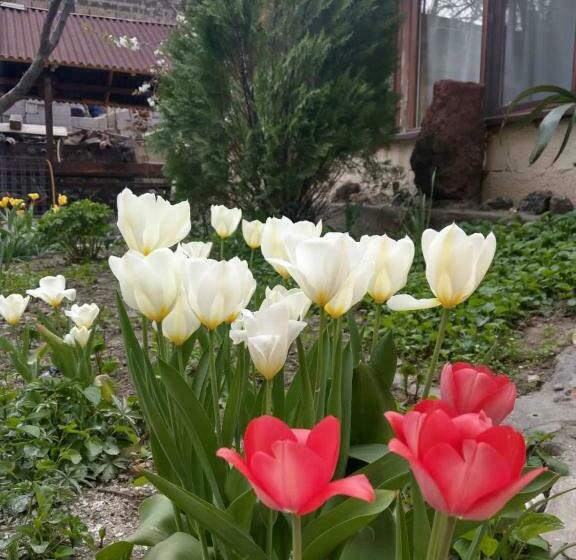 پانسیون Popock City Center